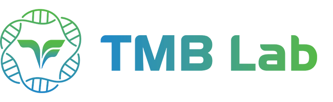 https://tmb.vietgen.vn/wp-content/uploads/2025/10/LOGO_TMBLab_web.png